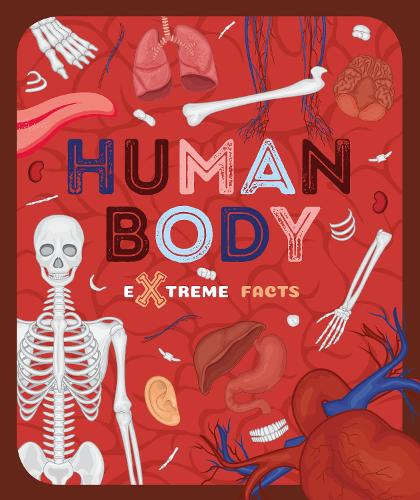 Бумажная книга «Human Body», автор Стеффи Кавелл-Кларк - фото №1