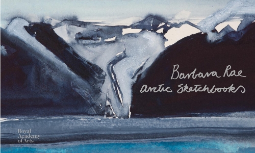 Бумажная книга «Barbara Rae: Arctic Sketchbooks», автор Барбара Рэй - фото №1