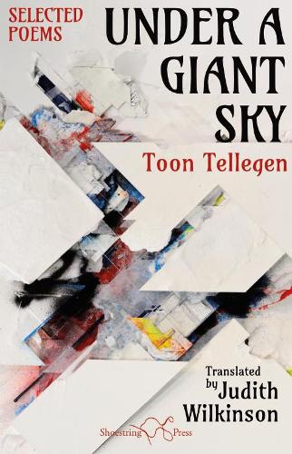 Бумажная книга «Under a Giant Sky», автор Тун Теллеген - фото №1