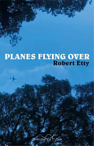 Паперова книга «Planes Flying Over», автор Роберт Етті - фото №1