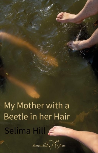 Паперова книга «My Mother with a Beetle in her Hair», автор Селіма Хілл - фото №1