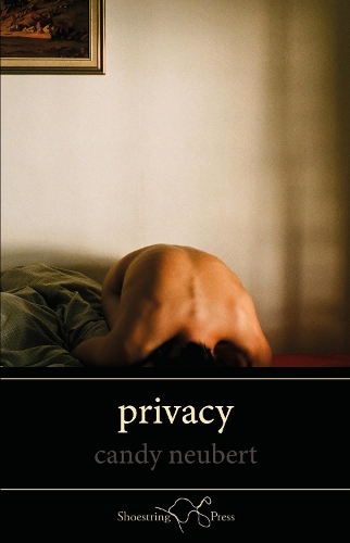 Бумажная книга «Privacy», автор Кэнди Нойберт - фото №1