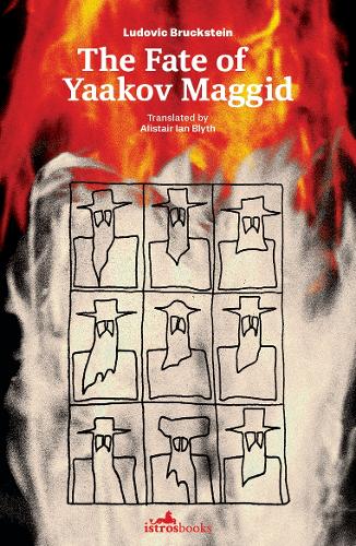 Бумажная книга «The Fate of Yaakov Maggid», автор Людовик Брукштейн - фото №1