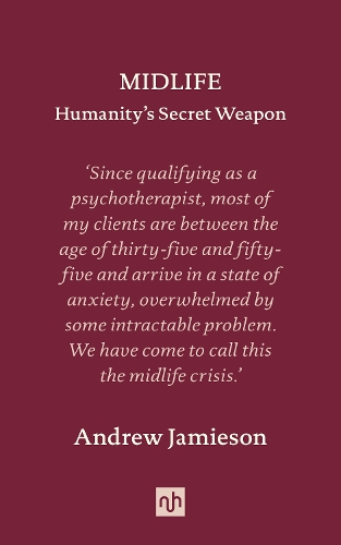 Бумажная книга «Midlife: Humanity's Secret Weapon», автор Эндрю Джемисон - фото №1