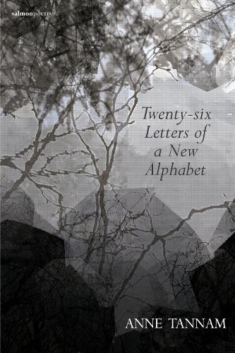 Бумажная книга «Twenty-Six Letters of a New Alphabet», автор Энн Таннам - фото №1