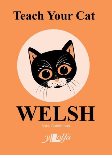 [object Object] «Teach Your Cat Welsh», автор Энн Кейкбред - фото №1
