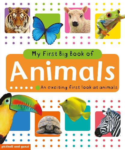 Бумажная книга «My Big Book of Animals» - фото №1
