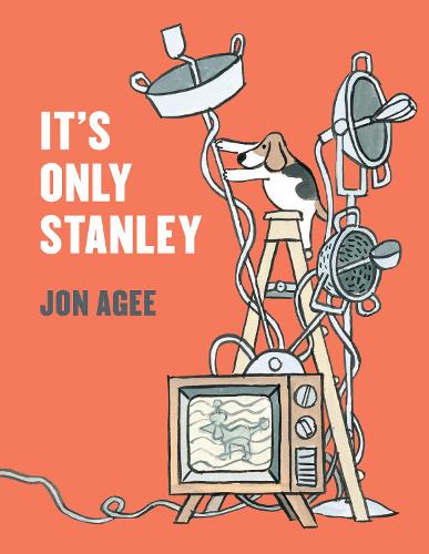 Паперова книга «It's Only Stanley», автор Джон Ейджі - фото №1