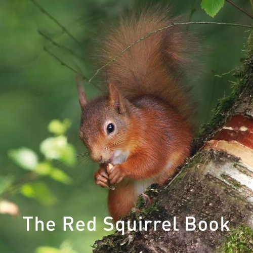 Паперова книга «Nature Book Series, The: The Squirrel Book», автор Джейн Расс - фото №1