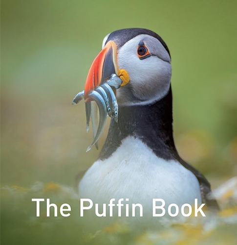Паперова книга «Nature Book Series, The: The Puffin Book», автор Дрю Баклі - фото №1