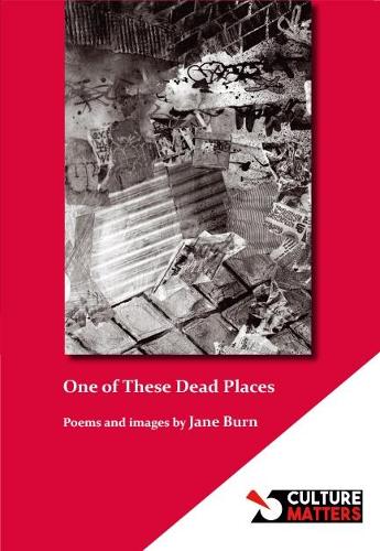 Паперова книга «One of These Dead Places», автор Джейн Берн - фото №1