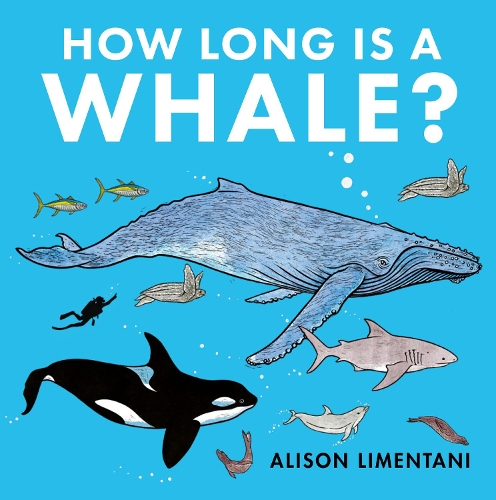 Паперова книга «How Long is a Whale?», автор Елісон Ліментані - фото №1