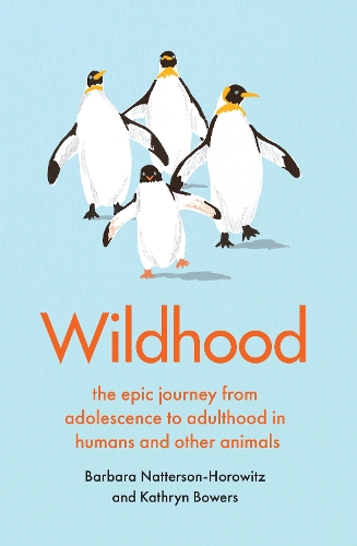 Бумажная книга «Wildhood» - фото №1
