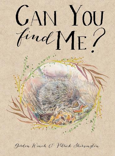 Бумажная книга «Can You Find Me?», автор Гордон Винч - фото №1