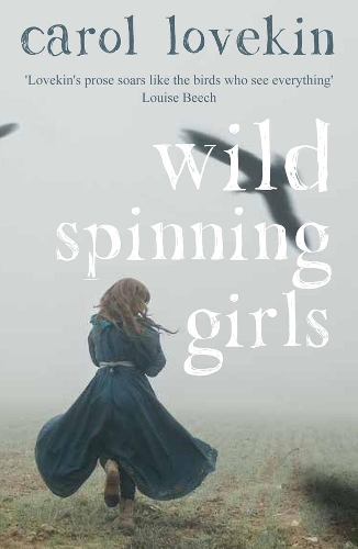 Бумажная книга «Wild Spinning Girls», автор Кэрол Лавкин - фото №1