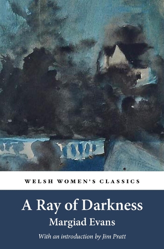 Бумажная книга «A Ray Of Darkness», автор Маргиад Эванс - фото №1