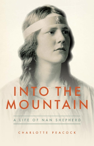 Паперова книга «Into the Mountain», автор Шарлотта Пікок - фото №1