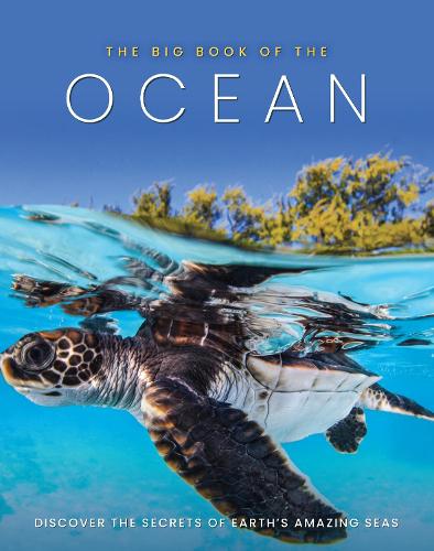Бумажная книга «The Big Book of the Ocean», автор Сона Букс - фото №1