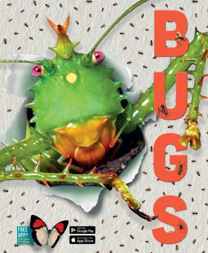Бумажная книга «Bugs», автор Элизабет Крэнфорд - фото №1