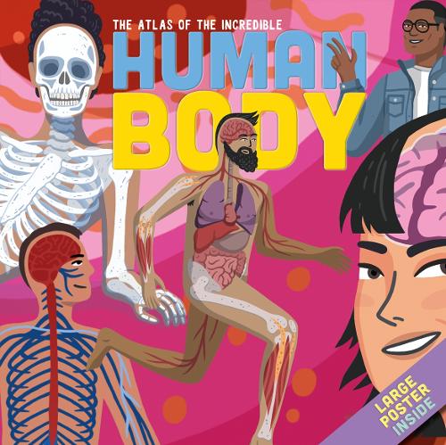 Бумажная книга «THE ATLAS OF THE INCREDIBLE HUMAN BODY», автор Джейми Коллинз - фото №1