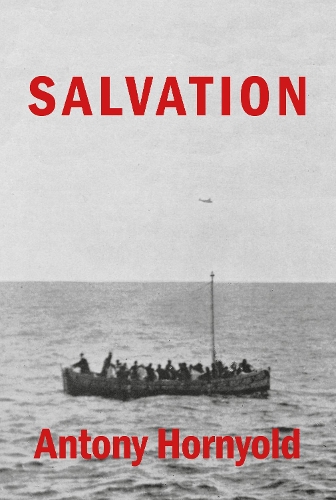 Паперова книга «Salvation», автор Ентоні Хорніолд - фото №1