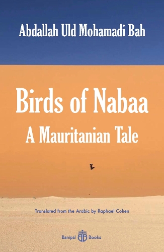 Паперова книга «Birds of Nabaa: A Mauritanian Tale», автор Абдалла Ульд Мохамаді Бах - фото №1