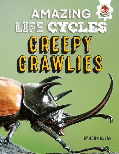Бумажная книга «Amazing Life Cycles-Minibeasts», автор Джон Аллан - фото №1