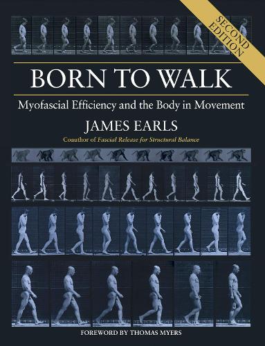 Paper book «Born to Walk: Myofascial Efficiency and the Body in Movement», author James Earls - фото №1