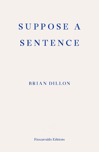 Паперова книга «Suppose a Sentence», автор Брайан Діллон - фото №1