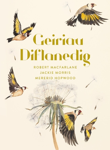 Бумажная книга «Geiriau Diflanedig», автор Мерерид Хопвуд - фото №1