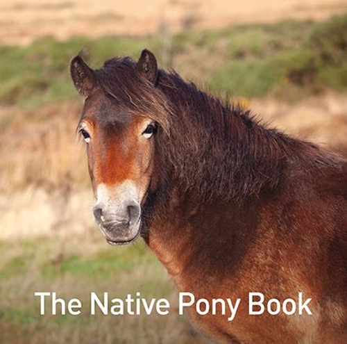 Паперова книга «The Native Pony Book», автор Джейн Расс - фото №1