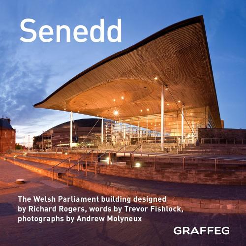 Бумажная книга «Senedd», автор Тревор Фишлок - фото №1