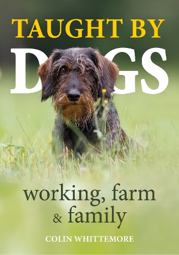 Бумажная книга «Taught by Dogs: working, farm and family», автор Колин Уиттемор - фото №1