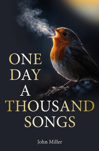 Бумажная книга «One Day a Thousand Songs», автор Джон Миллер - фото №1