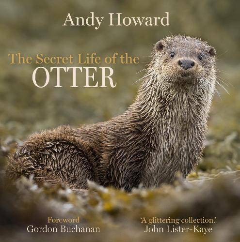 Бумажная книга «The Secret Life of the Otter», автор Энди Ховард - фото №1