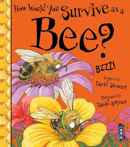 Бумажная книга «How Would You Survive As A Bee?», автор Дэвид Стюарт - фото №1