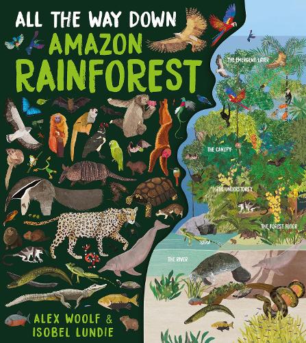 Паперова книга «All The Way Down: Amazon Rainforest», автор Алекс Вулф - фото №1