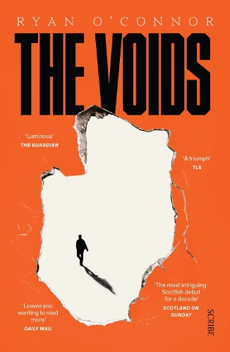 Бумажная книга «The Voids», автор Райан О'Коннор - фото №1
