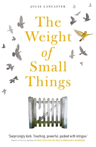 Бумажная книга «The Weight of Small Things», автор Джули Ланкастер - фото №1
