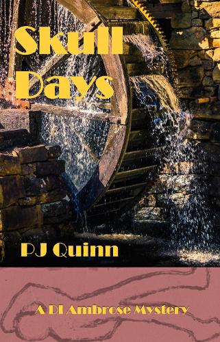 Бумажная книга «Skull Days», автор П. Дж. Куинн - фото №1