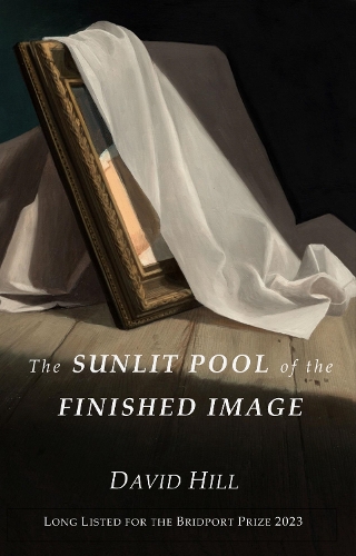 Бумажная книга «The Sunlit Pool of the Finished Image», автор Дэвид Хилл - фото №1