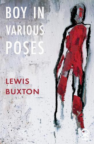 Бумажная книга «Boy in Various Poses», автор Льюис Бакстон - фото №1