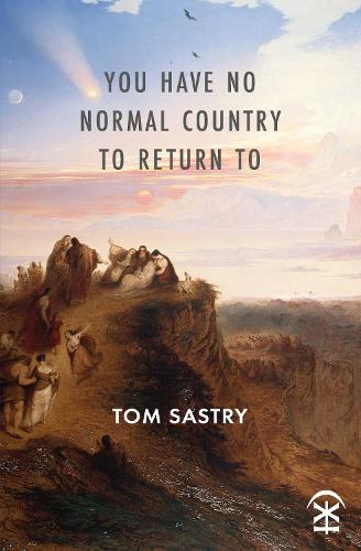 Бумажная книга «You Have No Normal Country To Return To», автор Том Састри - фото №1