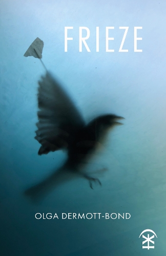 Бумажная книга «Frieze», автор Ольга Дермотт-Бонд - фото №1
