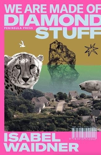 Бумажная книга «We are Made of Diamond Stuff», автор Изабель Вайднер - фото №1