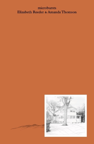 Паперова книга «microbursts», авторів Аманда Томсон, Елізабет Рідер - фото №1