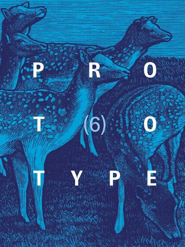 Бумажная книга «PROTOTYPE 6» - фото №1