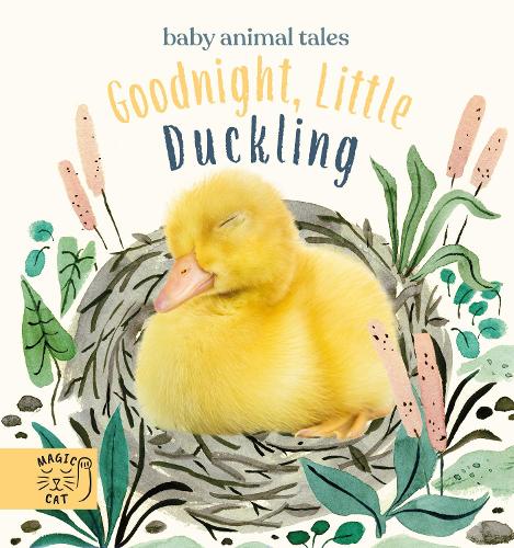 Бумажная книга «Goodnight, Little Duckling: A book about listening», автор Аманда Вуд - фото №1