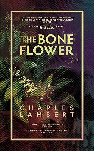 Бумажная книга «The Bone Flower», автор Чарльз Ламберт - фото №1