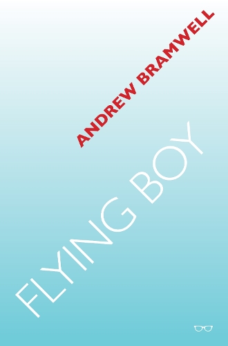 Бумажная книга «Flying Boy», автор Эндрю Брэмвелл - фото №1